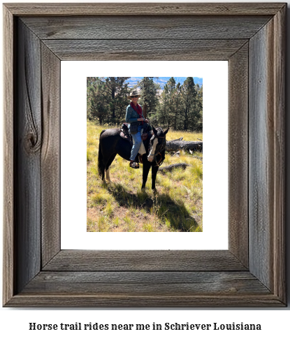 horse trail rides near me in Schriever, Louisiana